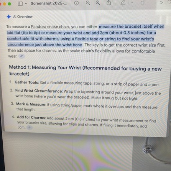 Pandora Silver Snake Chain Bracelet with 2 Spacer Charms - Picture 10 of 13